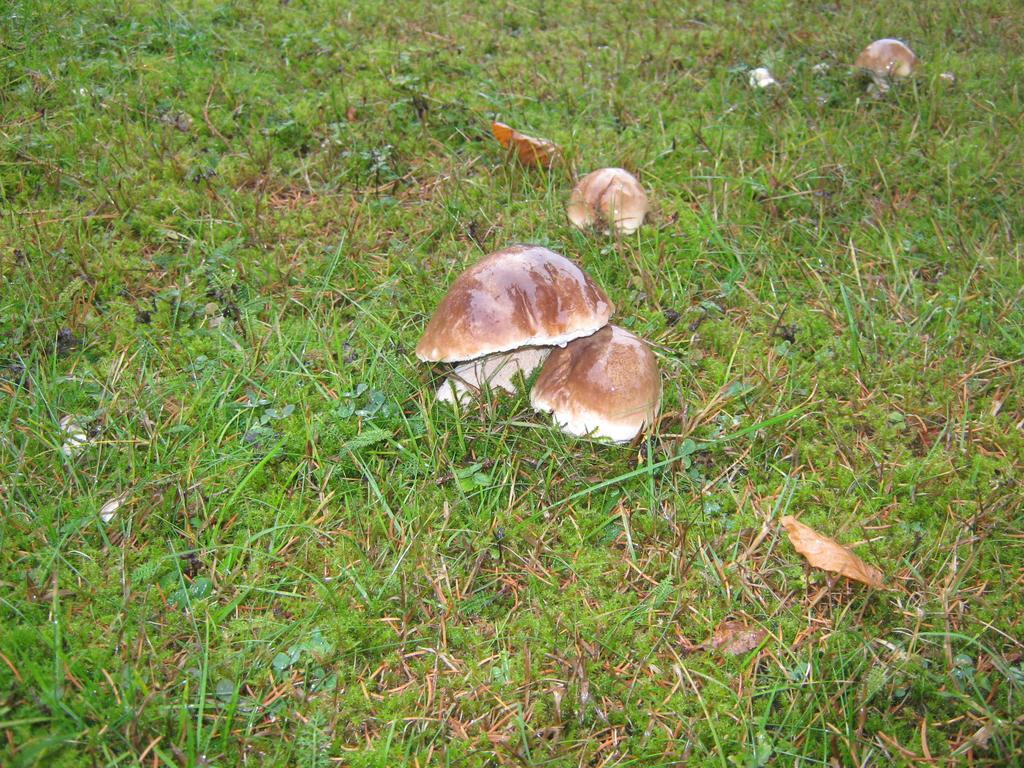 Penzion Pod Dobakom Lazisko Extérieur photo